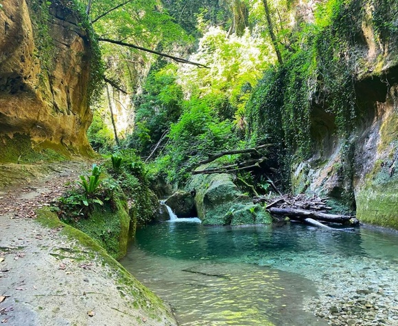 Escursione guidata: le aree protette dell'Abruzzo
