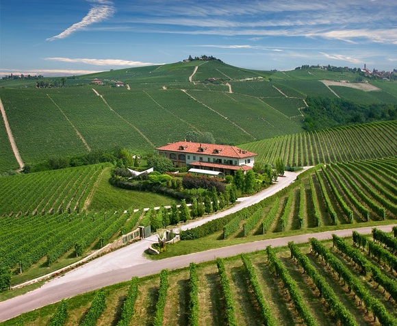 Tenuta Baràc Wine tasting