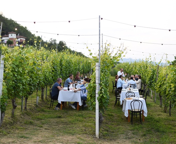 Alba: Cena in Vigna!