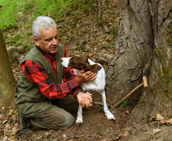 Alla ricerca del Tartufo nelle Langhe