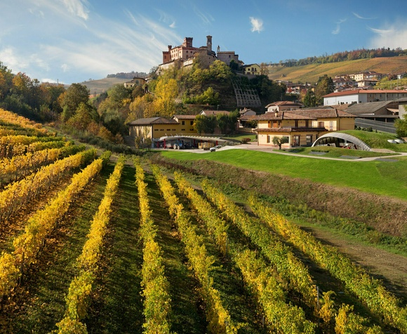 Premium Barolo Experience