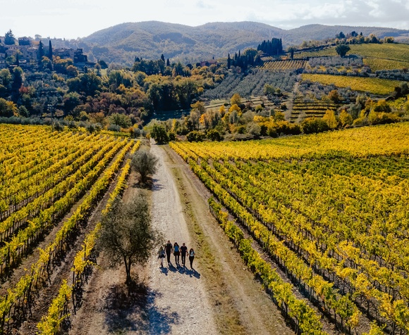 Tour di Montefioralle - Trekking & Vino