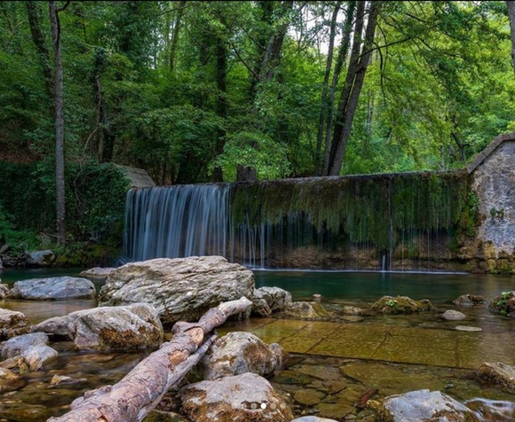 Bosco Magnano Experience