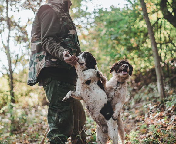 Shades of Truffle: Research & Tasting