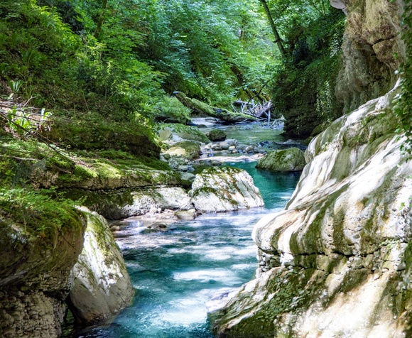Forest Bathing alla Maiella