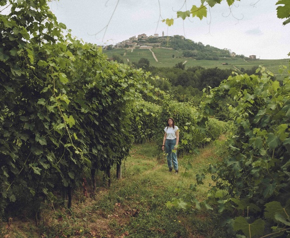 Wine, Love and Sustainability