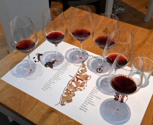 Masterclass Serralunga d'Alba VS Barolo