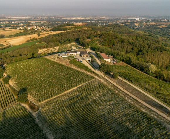 Wine Tasting "The Territory"