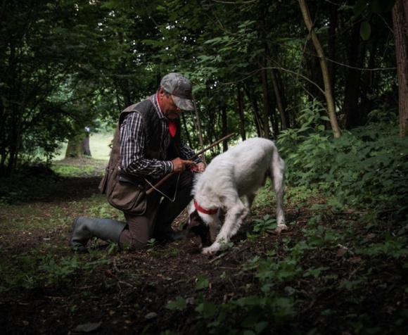 Truffle hunting