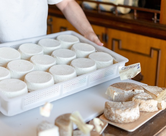 Dal latte al formaggio: scopri la Cheese Experience