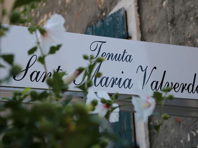 Tenuta Santa Maria Valverde
