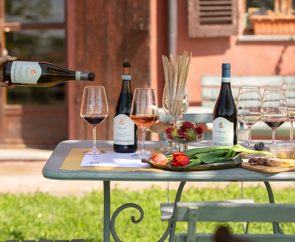 Un sorso di Monferrato: scopri i vini di Cascina Gilli