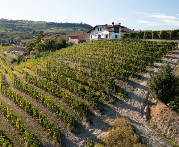 Visit and Verticale of 3 Barolo "Classico" wines