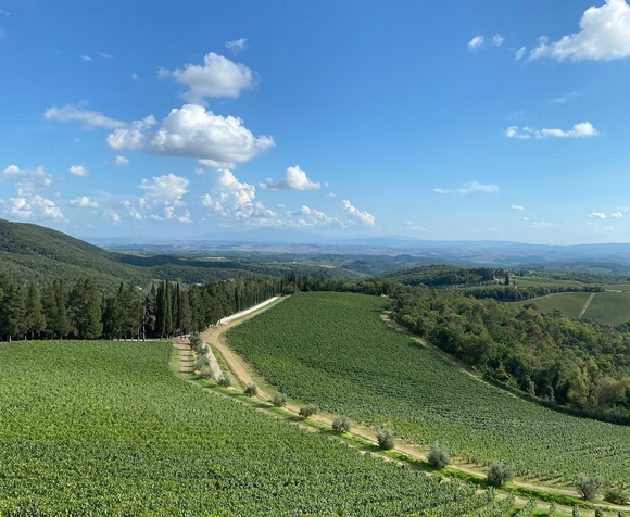 Chianti Wine Tour