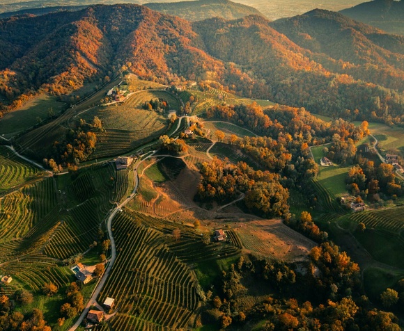 Conegliano - Visita & Degustazione