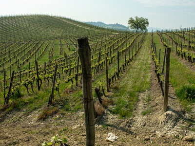 Tenuta Garetto