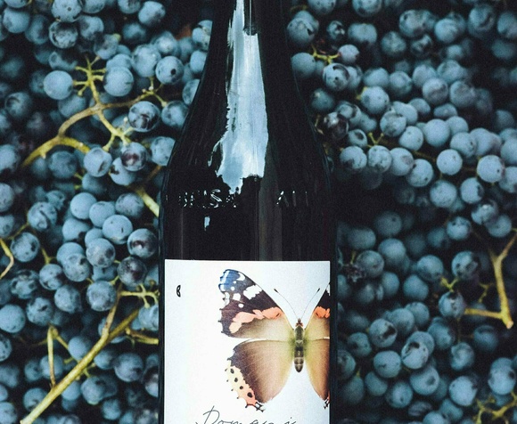 Nebbiolo Lovers