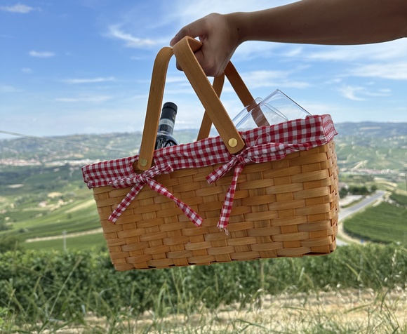 Picnic in the Vineyard