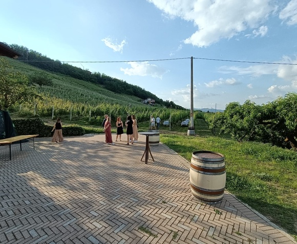 Domenica in Vigna