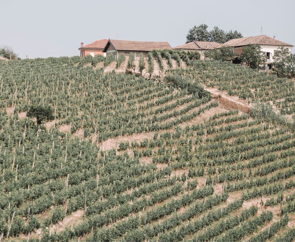 Moasca: to sip and beyond