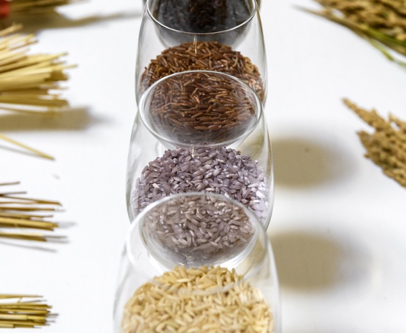 Rice will have no more secrets