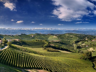 Primavera nelle Langhe: Sole, Vino e Cibo in Una Cornice Incantevole