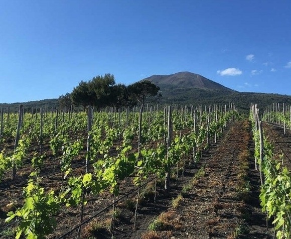 Vini e tradizione vista Vesuvio