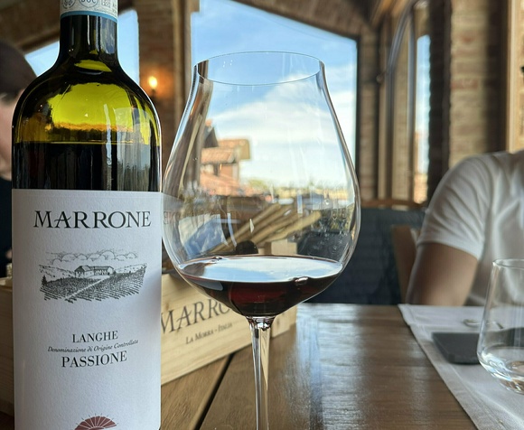 Visita, degustazione e pranzo in terrazza