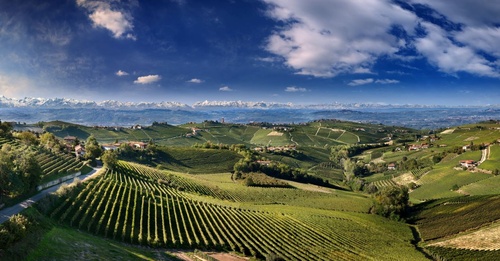 Primavera nelle Langhe: Sole, Vino e Cibo in Una Cornice Incantevole