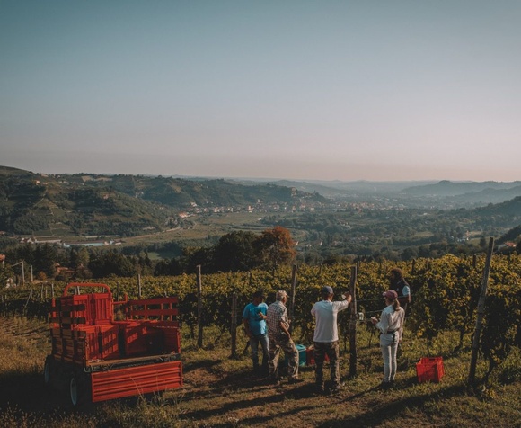 Tour enogastronomico nell'astigiano