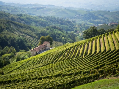 Rizieri Azienda Agricola