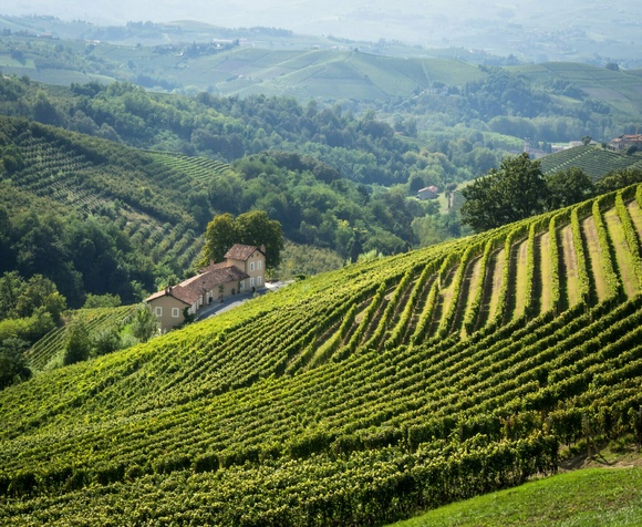 Barolo Experience a Diano d'Alba