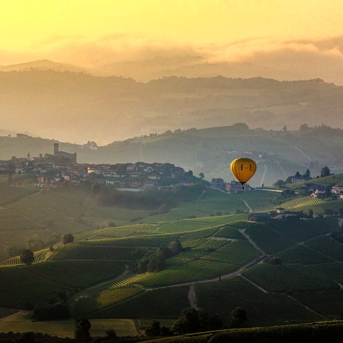 Discover Piedmont