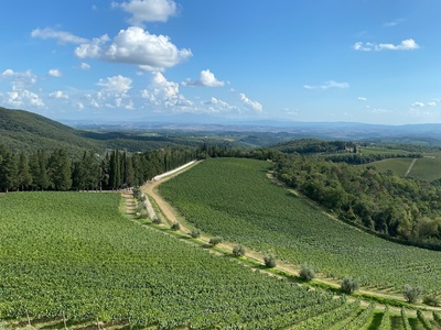 Fun in Tuscany