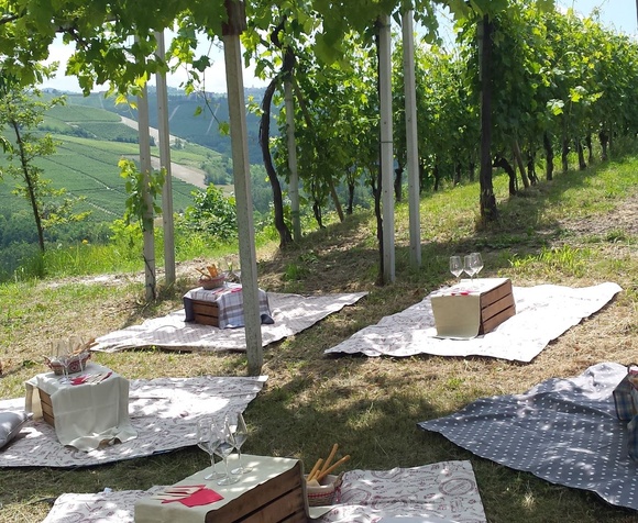 Picnic among the vines