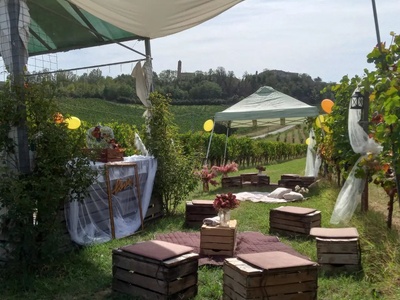 Azienda Vitivinicola Piana