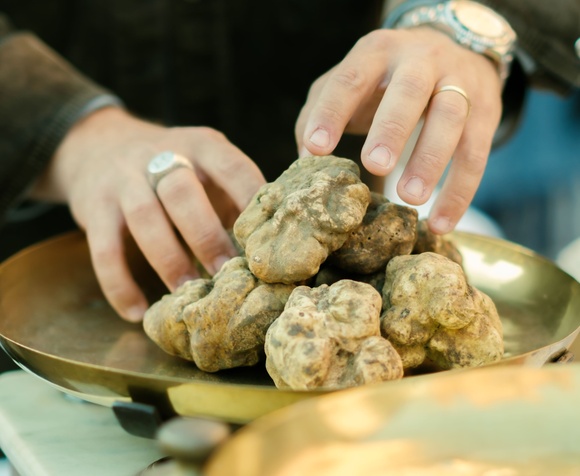 White Truffle Experience con Menù Degustazione: Un viaggio nei sapori autentici delle Langhe.