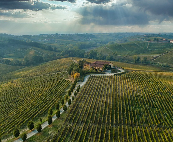 Tasting Award-Winning Wines - Broglia