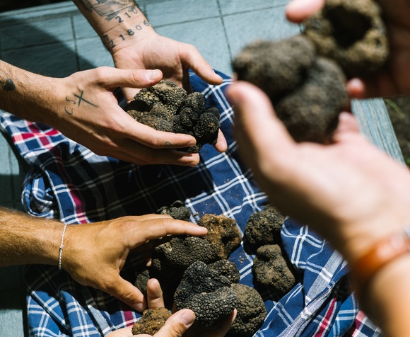 Black Truffle Experience con Menù Degustazione: Un viaggio nei sapori autentici delle Langhe.