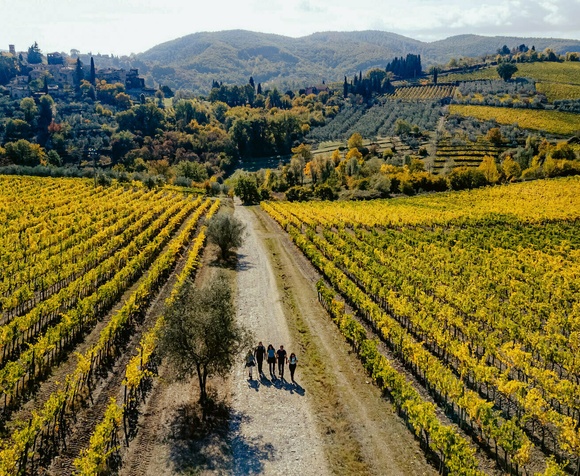 Tour di Montefioralle - Trekking & Vino