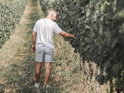 Tenuta il Nespolo