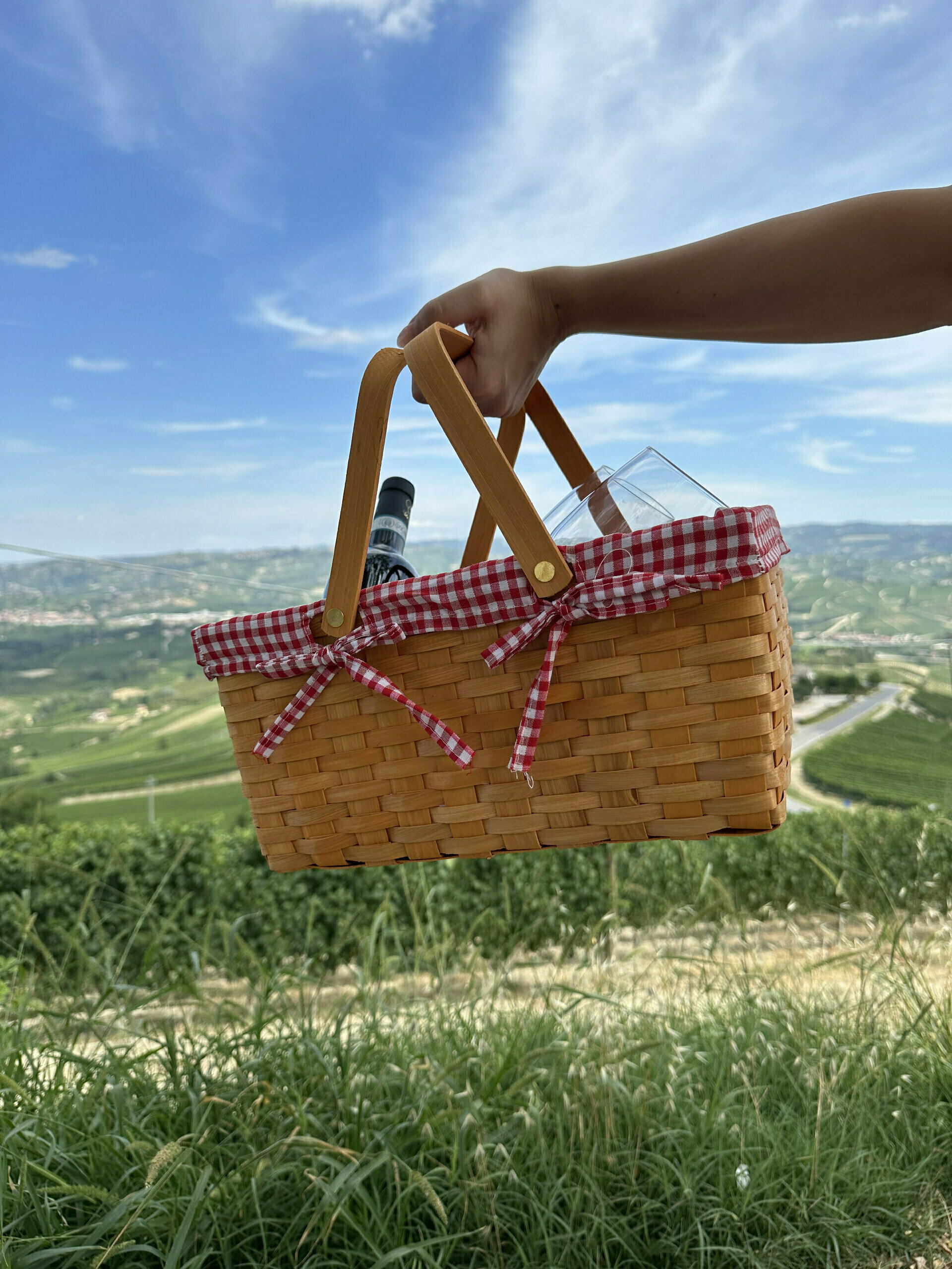 Picnic in the Vineyard - Neh Experience レノックス( 猫 ) Parvuneh